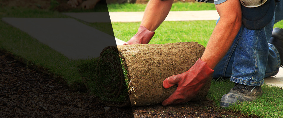 Gautier Landscapers